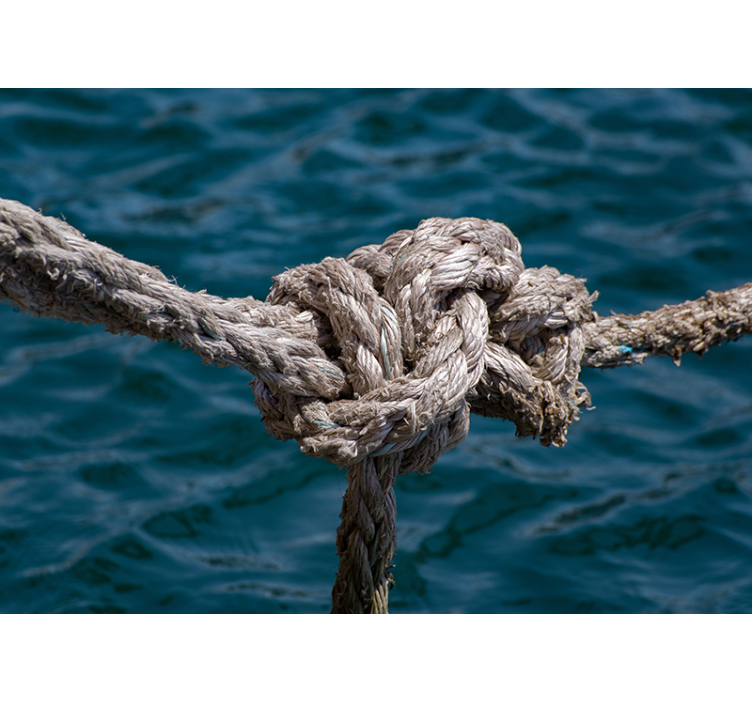 Mural de parede do mar nó náutico - TenStickers