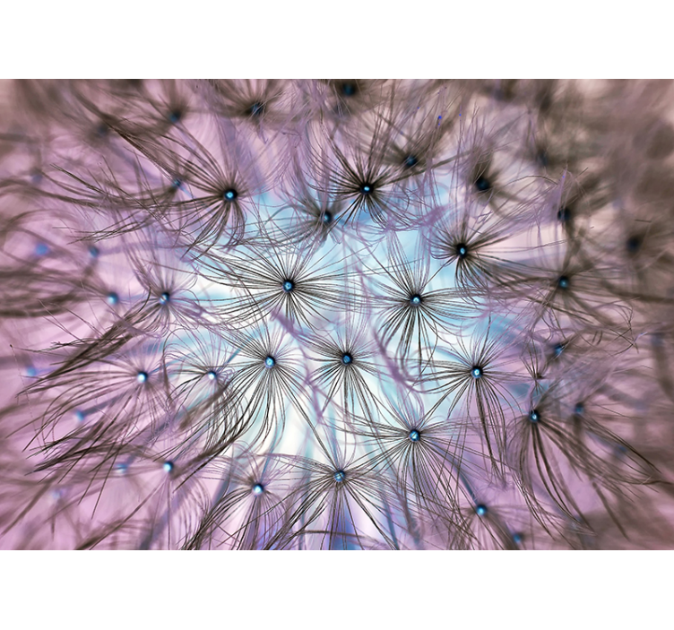 Fotomurais flores Dentro do dente de leão - TenStickers