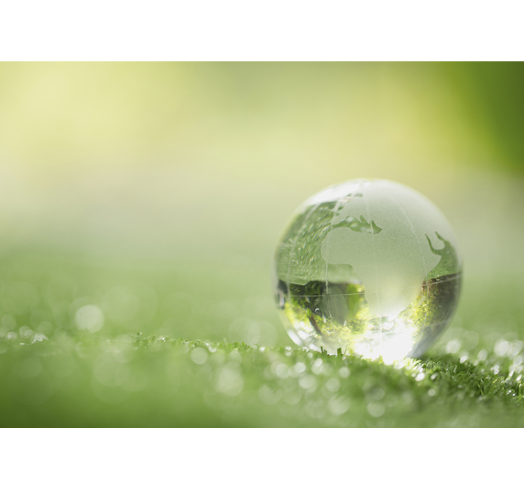 Fotomural de natureza gota de água sobre a relva - TenStickers