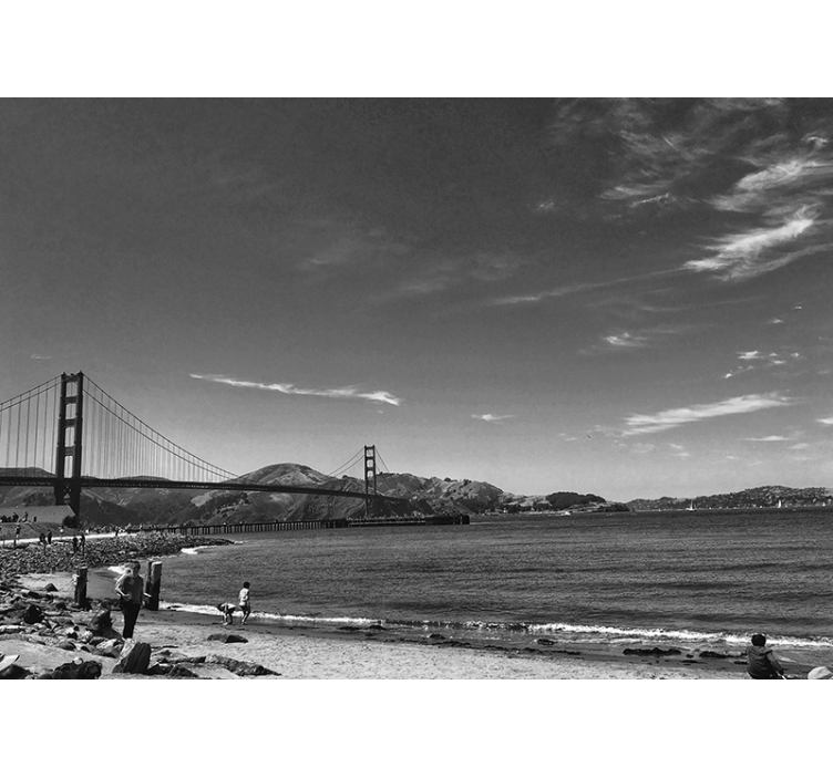 Fotomural de parede Golden Gate grey scale - TenStickers