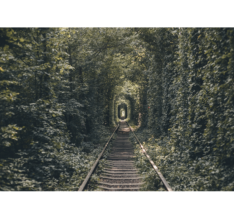 Fotomural de natureza túnel ferroviário de árvores - TenStickers