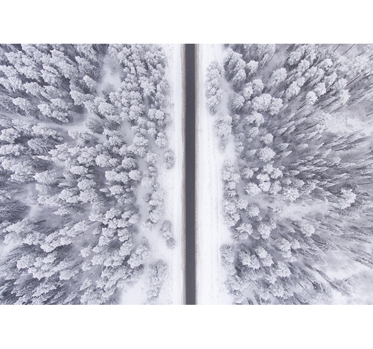 Fotomural de paisagens estrada da floresta de neve - TenStickers