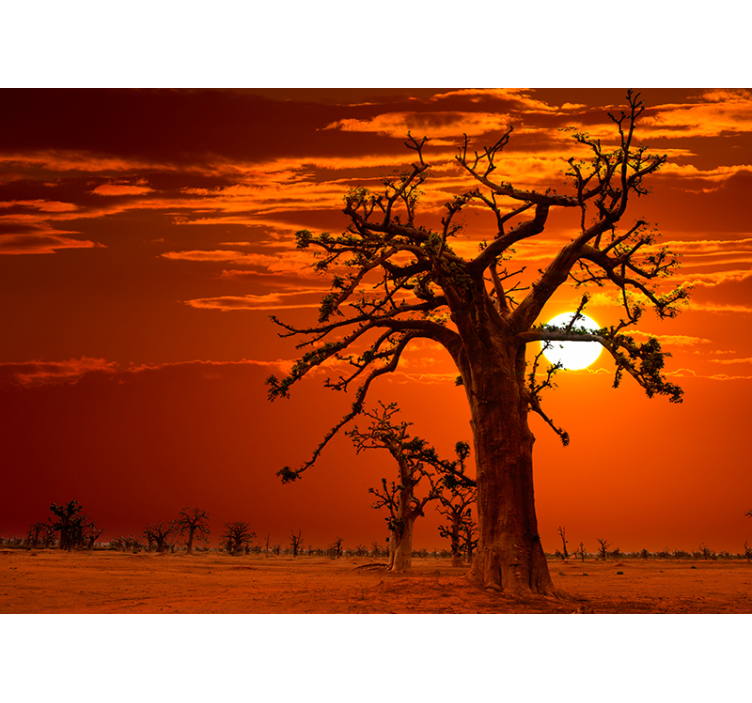 Fotomural de paisagens por do sol africano - TenStickers