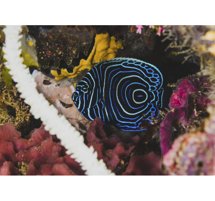 Mural de parede animais padrões de peixes azuis - TenStickers