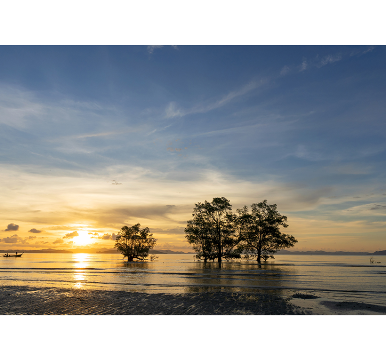 Fotomurais de paisagens pôr do sol sereno - TenStickers