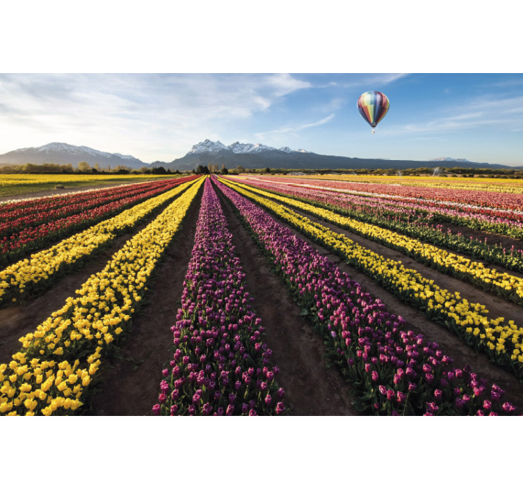 Fotomurais flores Balão de ar sobre tulipas - TenStickers