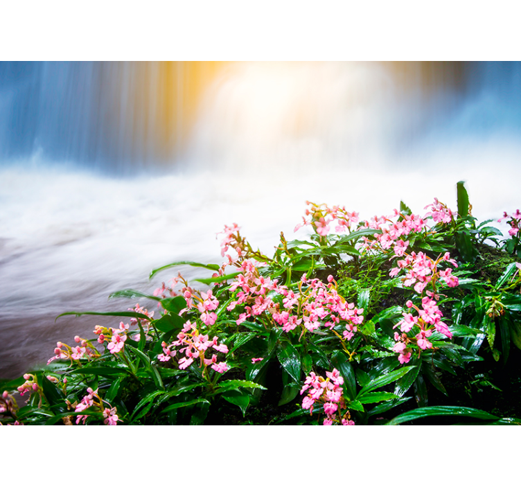 Fotomurais flores Cachoeira com flores rosa - TenStickers