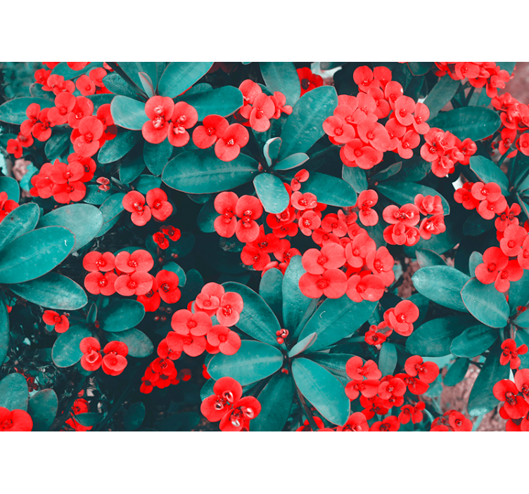Fotomurais flores arranjo floral vermelho - TenStickers