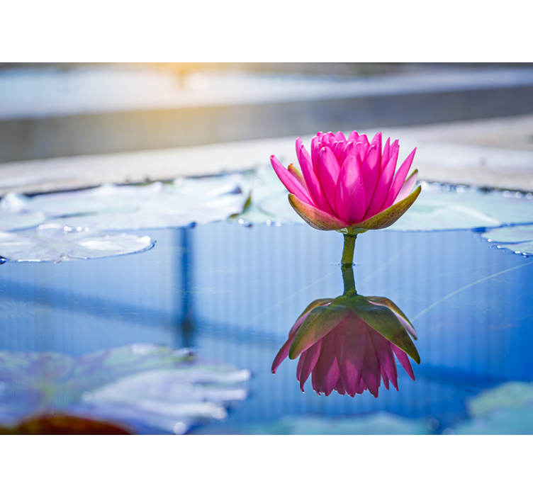 Fotomurais de paisagens água azul brilhante e flores rosa - TenStickers