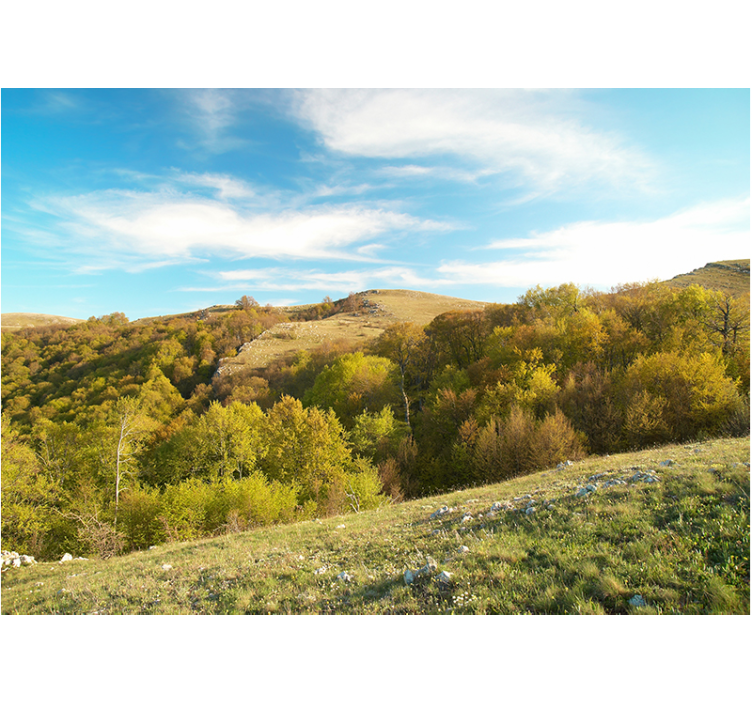 Murais de Parede Paisagem rural - TenStickers