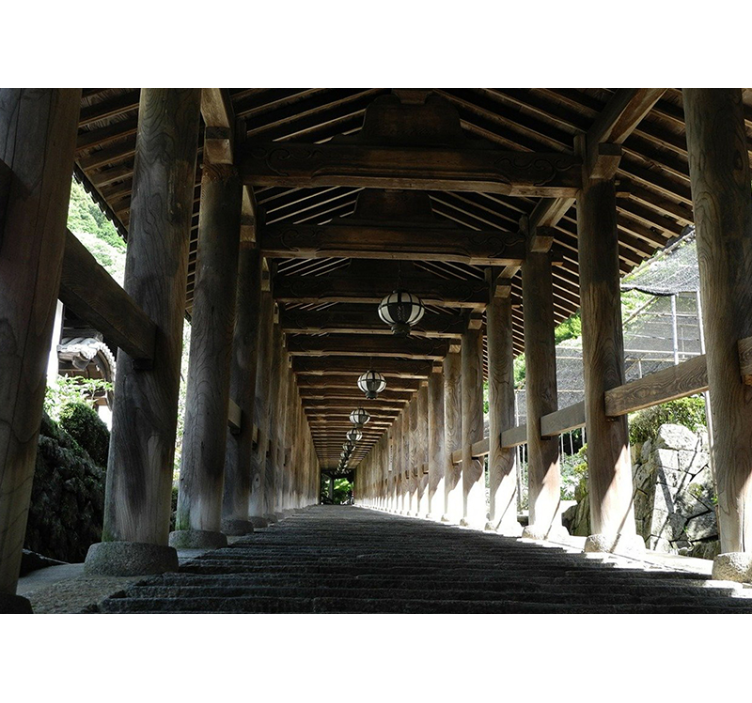 Mural de parede bosques vista do caminho de madeira - TenStickers