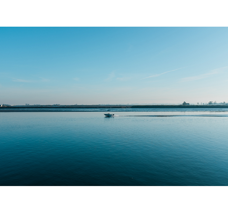 Fotomurais de paisagens Pescar em aveiro - TenStickers