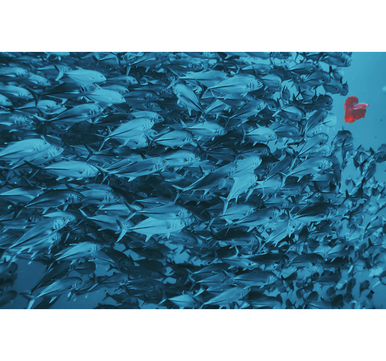 Mural de parede animais escola de peixes subaquáticos - TenStickers