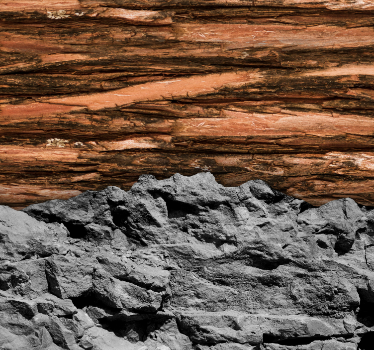 Mural de parede para a sala madeira e Pedra - TenStickers