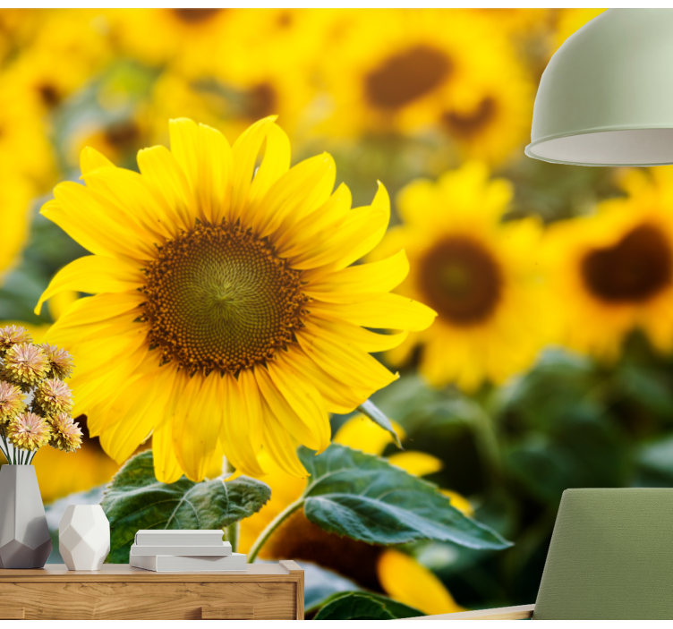 Murais de Parede Campo de flores do sol de perto - TenStickers