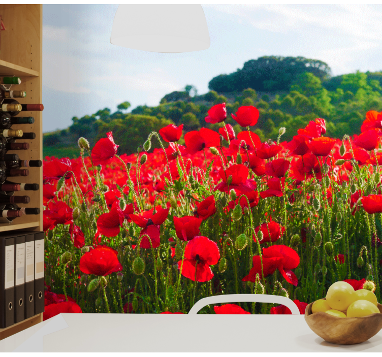 Murais de Parede Campo de papoula vermelha e verde - TenStickers