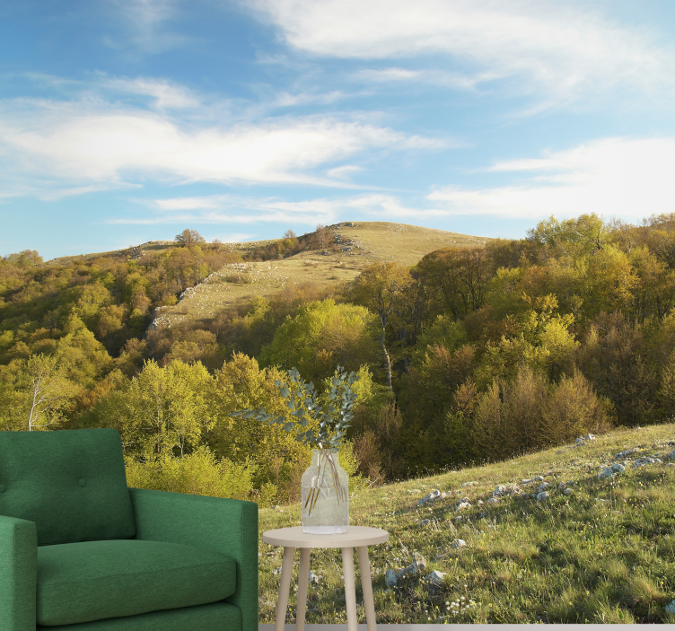 Murais de Parede Paisagem rural - TenStickers