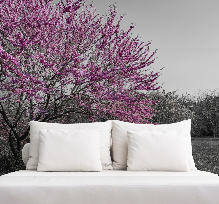 Fotomurais flores Árvore de flor de cerejeira - TenStickers