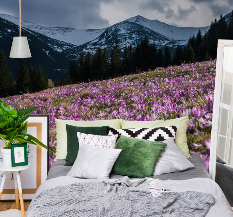 Fotomurais flores campo de flores de crocus - TenStickers