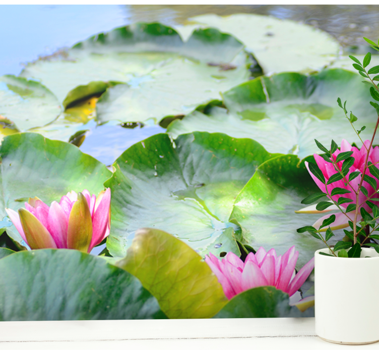 Fotomurais flores lírios rosa exuberantes - TenStickers