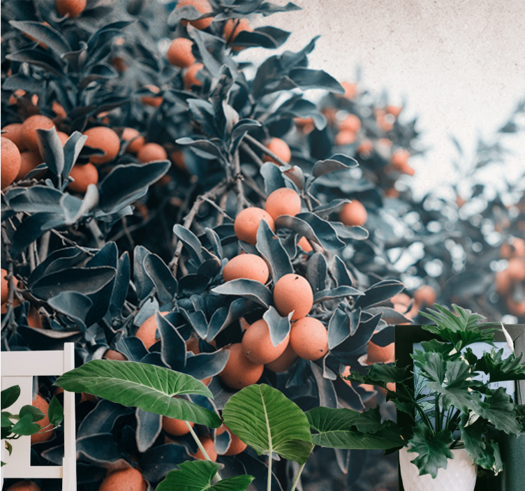 Fotomurais flores ramos de frutas cítricas - TenStickers