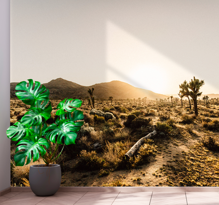 Fotomurais de paisagens Fascinante produtode deserto - TenStickers