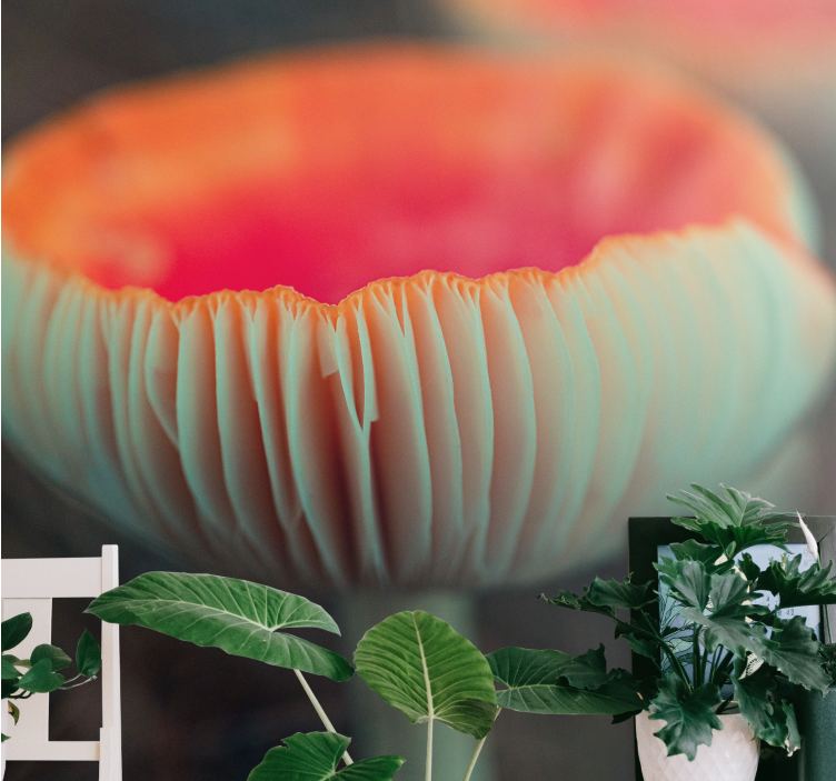 Fotomurais de paisagens Guelras de cogumelo vermelho - TenStickers