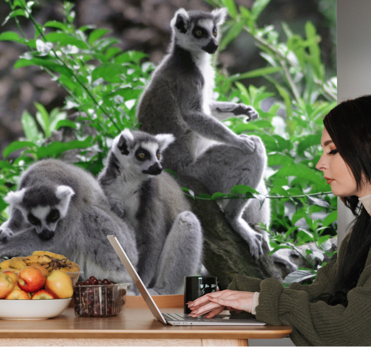 Fotomurais de paisagens Lêmures madagascar - TenStickers