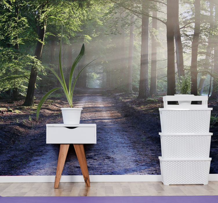 Fotomurais de paisagens Paisagem da floresta com flash - TenStickers