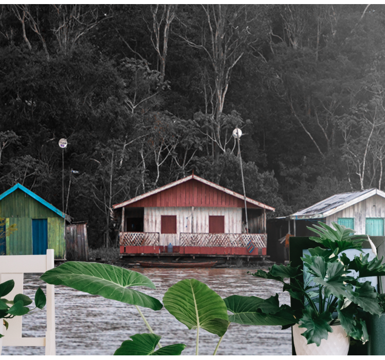 Fotomurais de paisagens Reflexos amazônicos - TenStickers