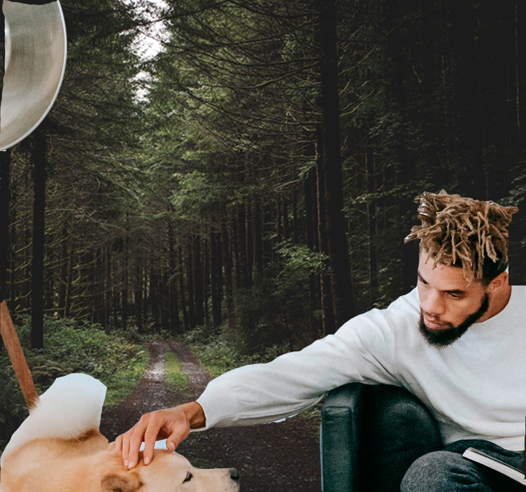 Fotomurais de paisagens Rua através de uma floresta escura - TenStickers