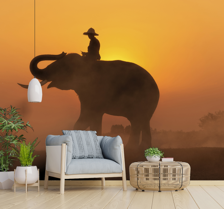 Fotomural elefante asiático ao pôr do sol - TenStickers