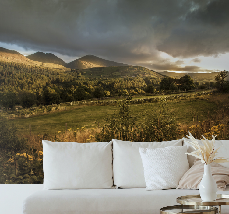 Fotomurais cidades e países Campo irlandês. - TenStickers