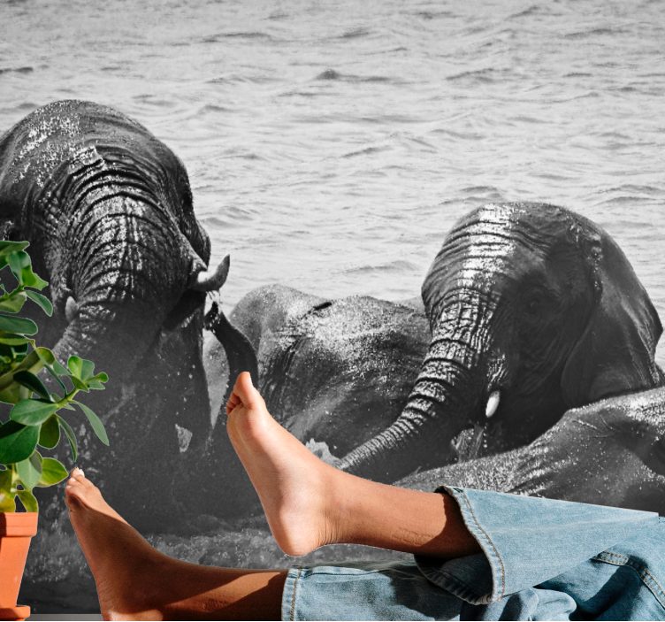 Mural de parede animais elefantes em líquido - TenStickers