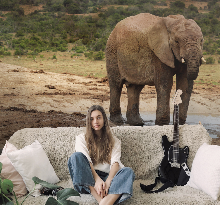 Mural de parede animais encontro com elefantes - TenStickers