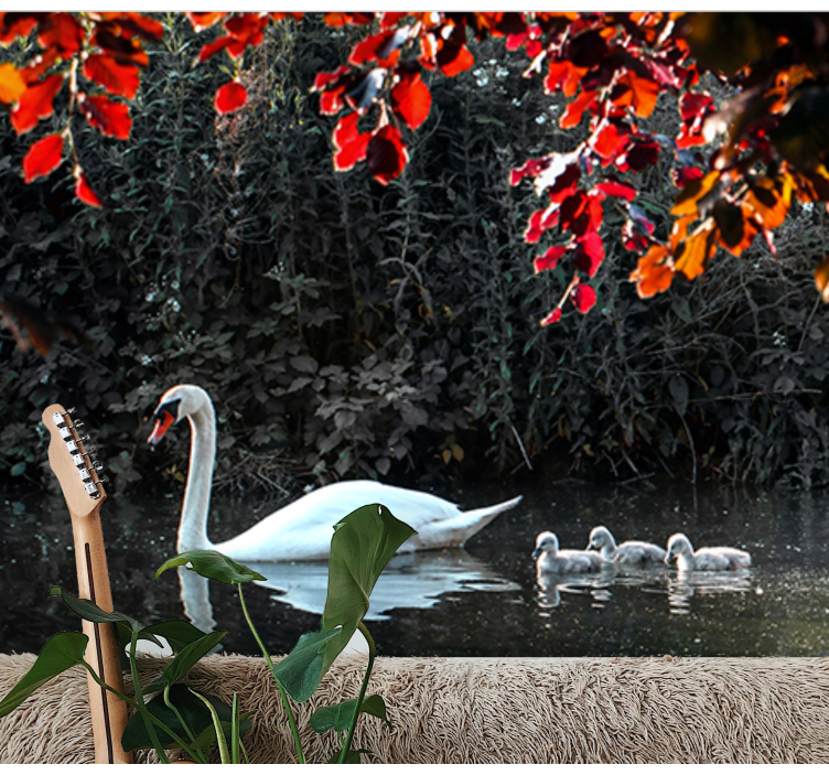 Mural de parede animais família de cisnes elegantes - TenStickers