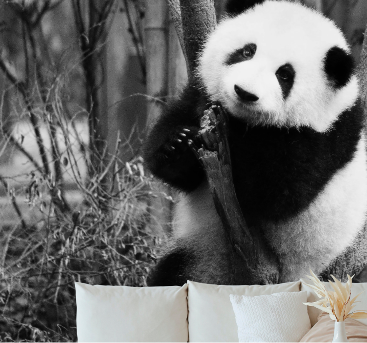 Mural de parede animais panda na Árvore - TenStickers