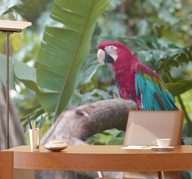 Mural de parede animais papagaio arara colorido - TenStickers