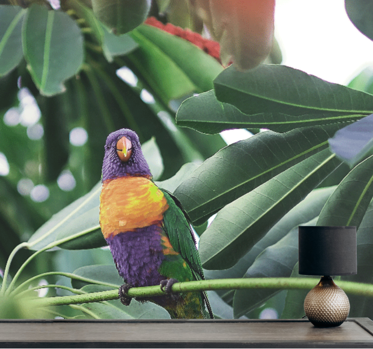 Mural de parede animais papagaio colorido empoleirado - TenStickers