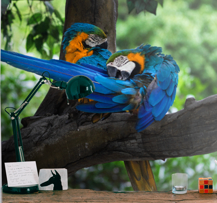 Mural de parede animais par de araras coloridas - TenStickers