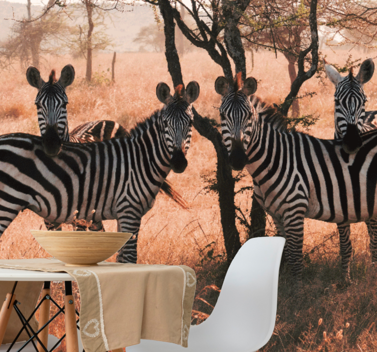 Mural de parede animais zebras na natureza - TenStickers