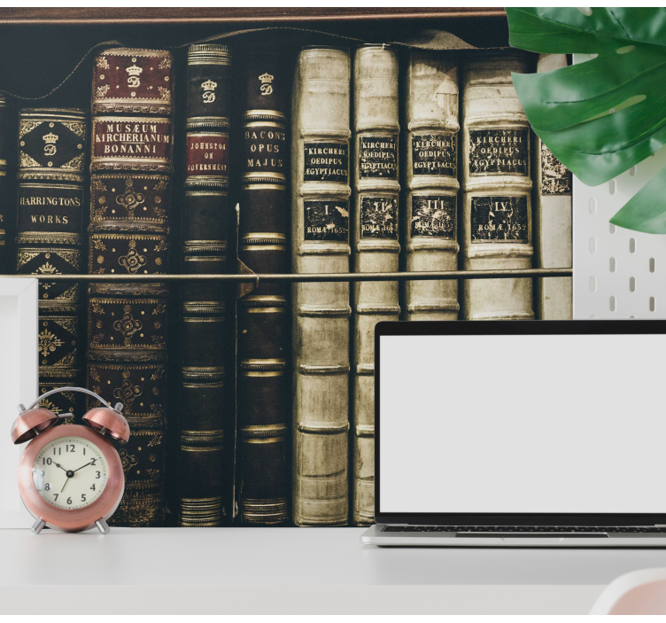 Mural de parede arte clássica coleção de estantes antigas - TenStickers