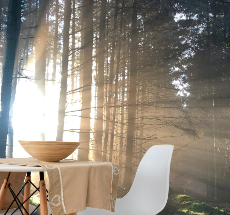 Mural de parede bosques caminho iluminado na floresta - TenStickers