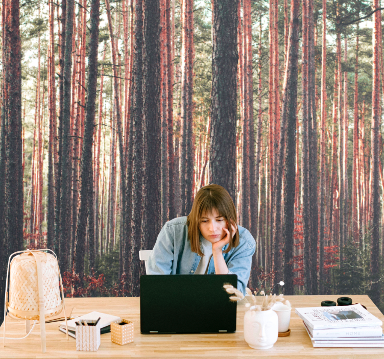 Mural de parede bosques pinheiros tranquilos - TenStickers