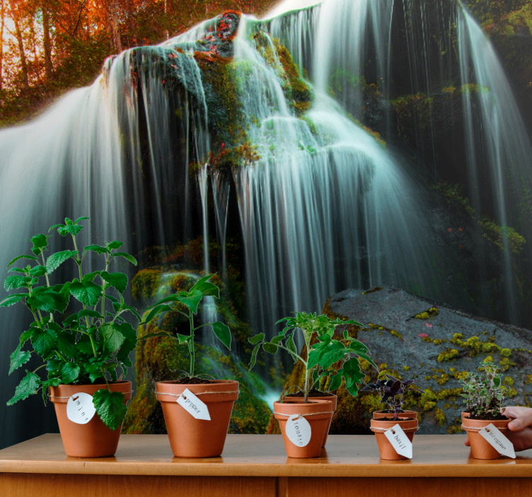 Mural de parede cascatas Água suave caindo - TenStickers