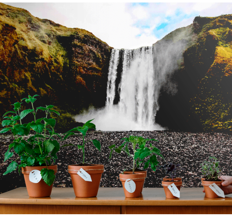 Mural de parede cascatas cena majestosa de cachoeira - TenStickers