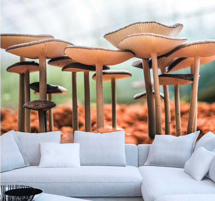 Mural de parede cena de aglomerado de cogumelos - TenStickers