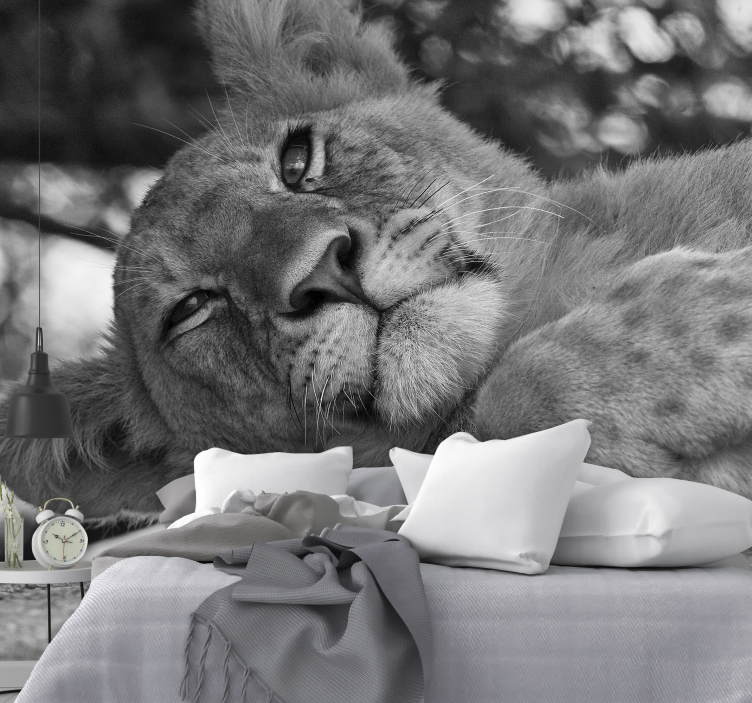 Mural de parede leões majestosos relaxantes - TenStickers