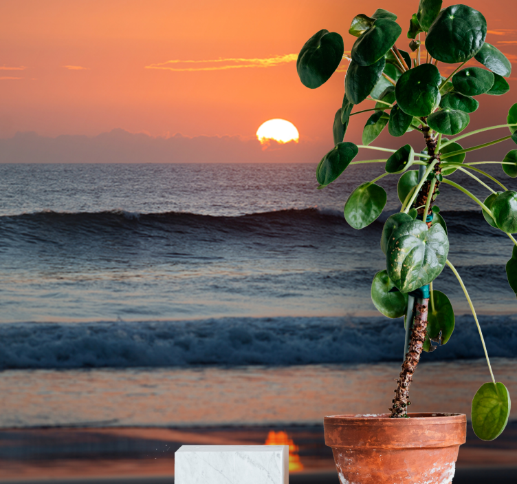 Mural de parede mar pôr do sol horizonte oceano - TenStickers