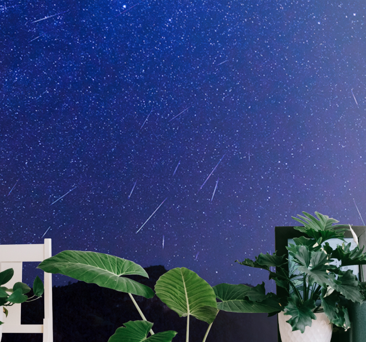 Mural de parede montanha noite de cometas celestiais - TenStickers
